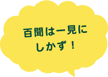 百聞は一見にしかず！